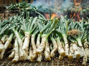 GRAN CALÇOTADA CON REUS Y VERMUTS ROFES
