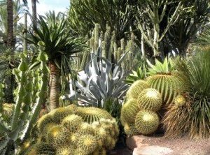 ELCHE CIUDAD NATURAL Y CULTURAL