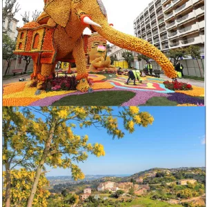 CARNAVALES EN NIZA Y FIESTA DEL LIMÓN EN MENTON