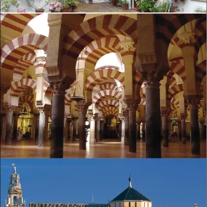 FESTIVAL DE LOS PATIOS CORDOBESES