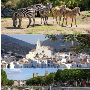 RESERVA AFRICANA DE SIGEAN