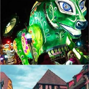 MERCADOS NAVIDEÑOS EN ALSACIA Y FESTIVAL DE LAS LUCES EN LYON